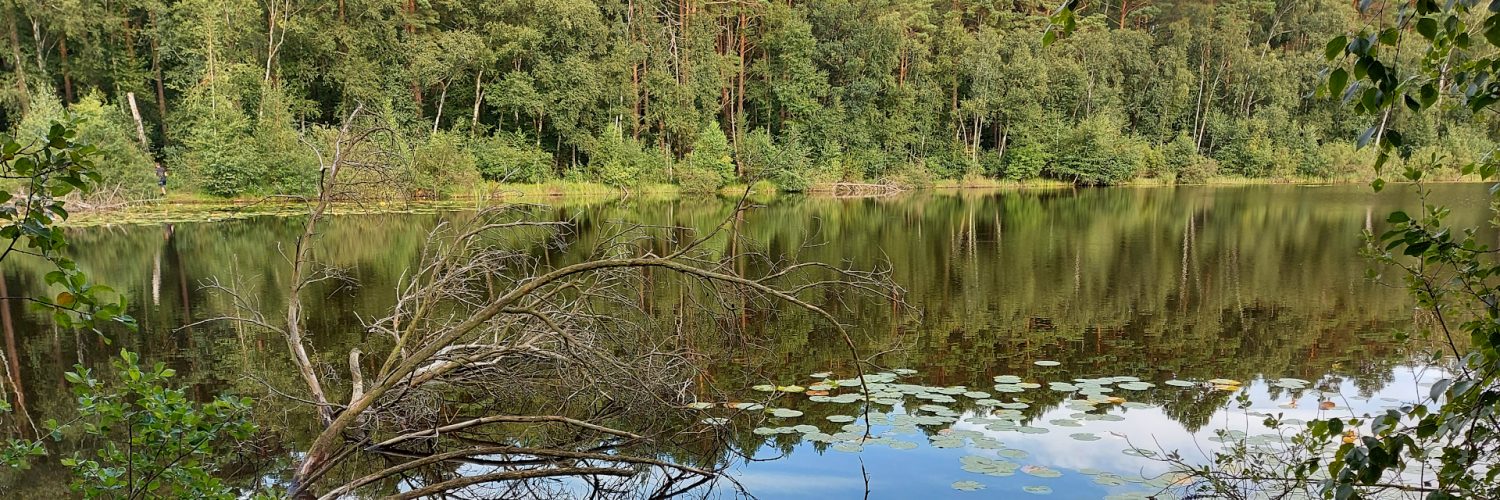 Mecklenburgische Seenplatte - Wienpietschseen